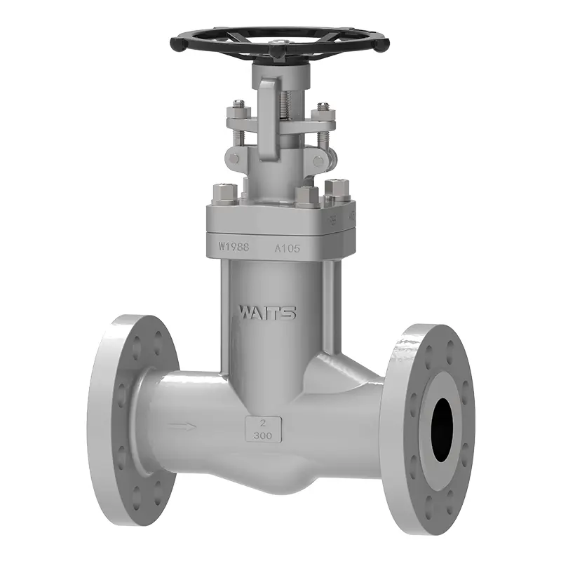 Forged Steel Bellows Globe Valve‌