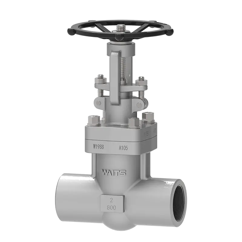 NPT Forged Gate Valve